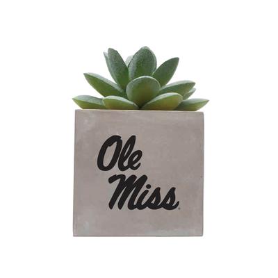 OLE MISS MINI FAUX POTTED SUCCULENT