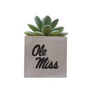 OLE MISS MINI FAUX POTTED SUCCULENT