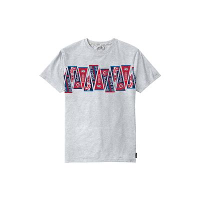 SS OLE MISS PENNANT SWELL UNISEX TEE ASH